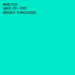#00E7CA - Bright Turquoise Color Image
